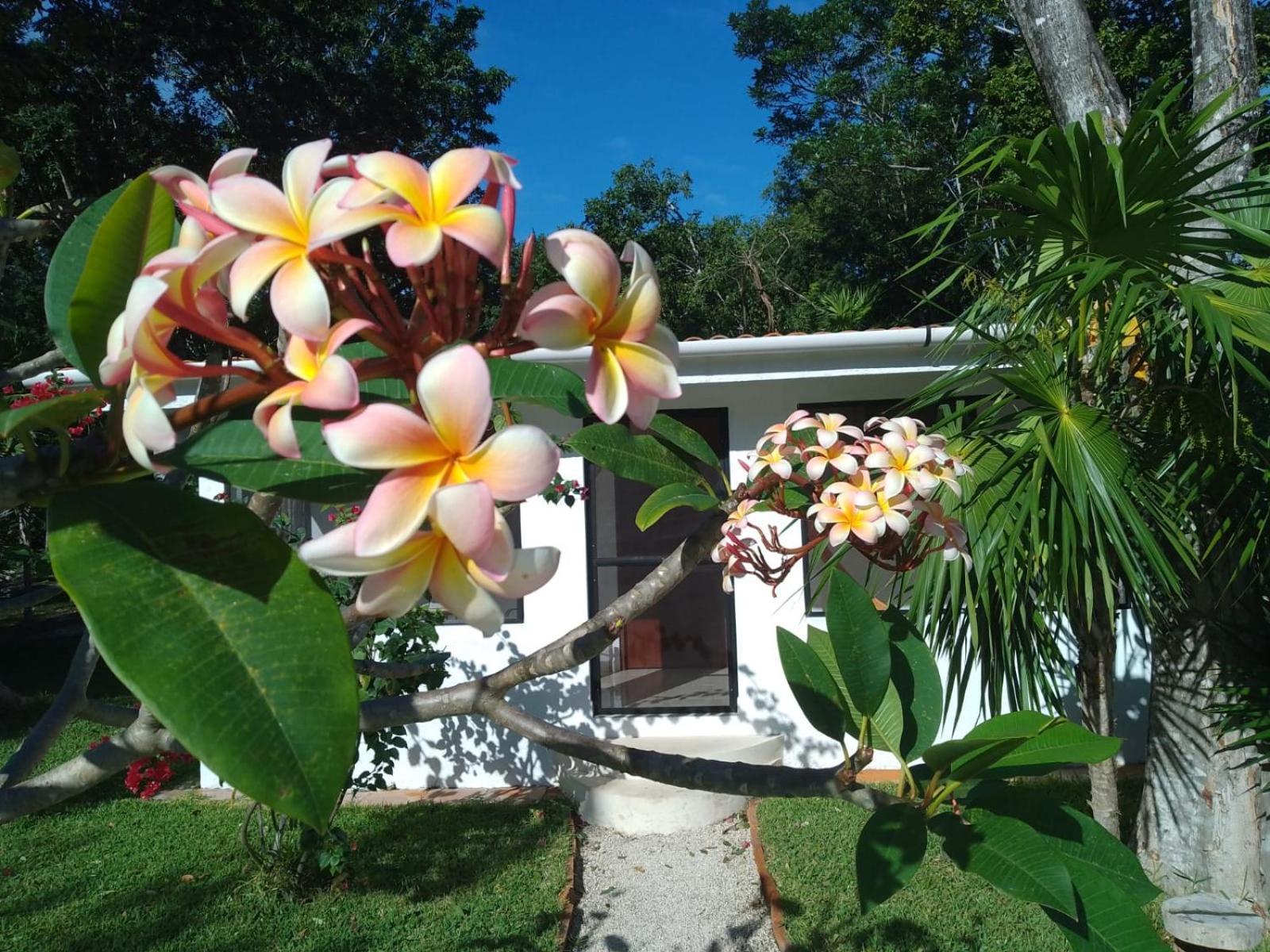 Kerubin Dorado Aparthotel Akumal Exterior foto